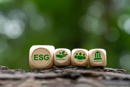 Criterios ESG